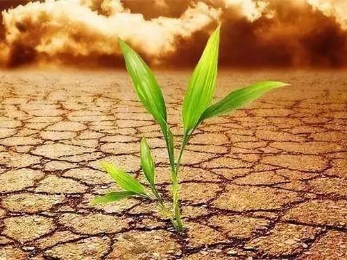 測土配方施肥儀 測土配方施肥儀