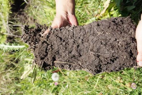 土壤養(yǎng)分分析儀 土壤養(yǎng)分分析儀